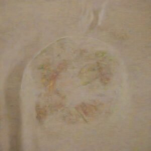 Portion Control Tricks for Family Meals: Simple Calorie-Saving Techniques